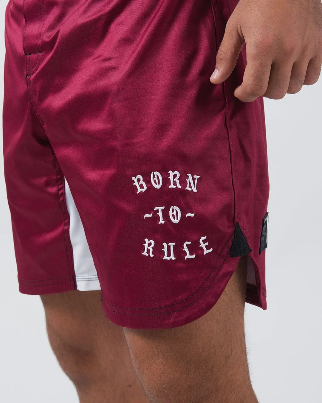Born To Rule Shorts - Image 5
