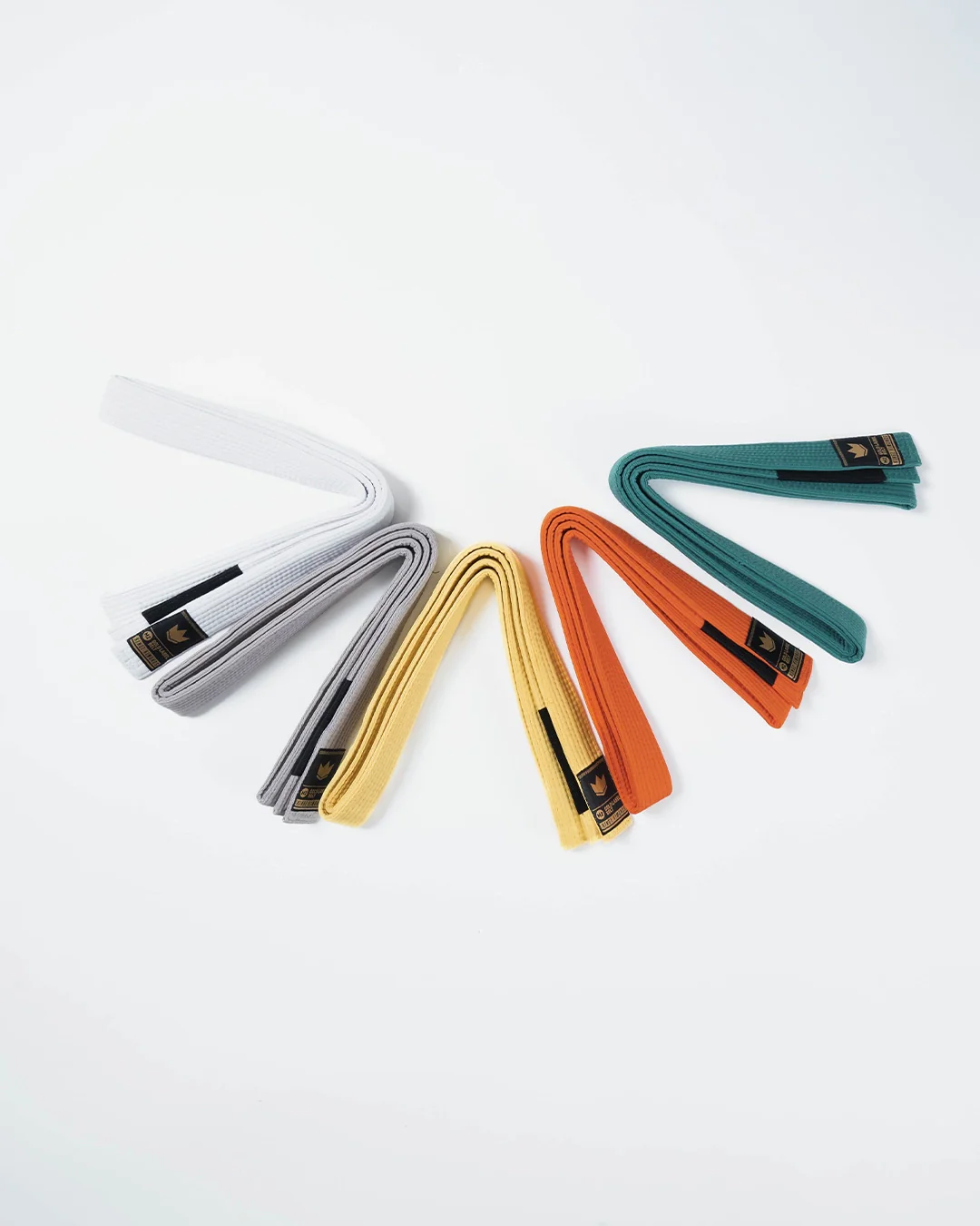 Gold Label V2 Kids Belt - Solid Color - Image 7