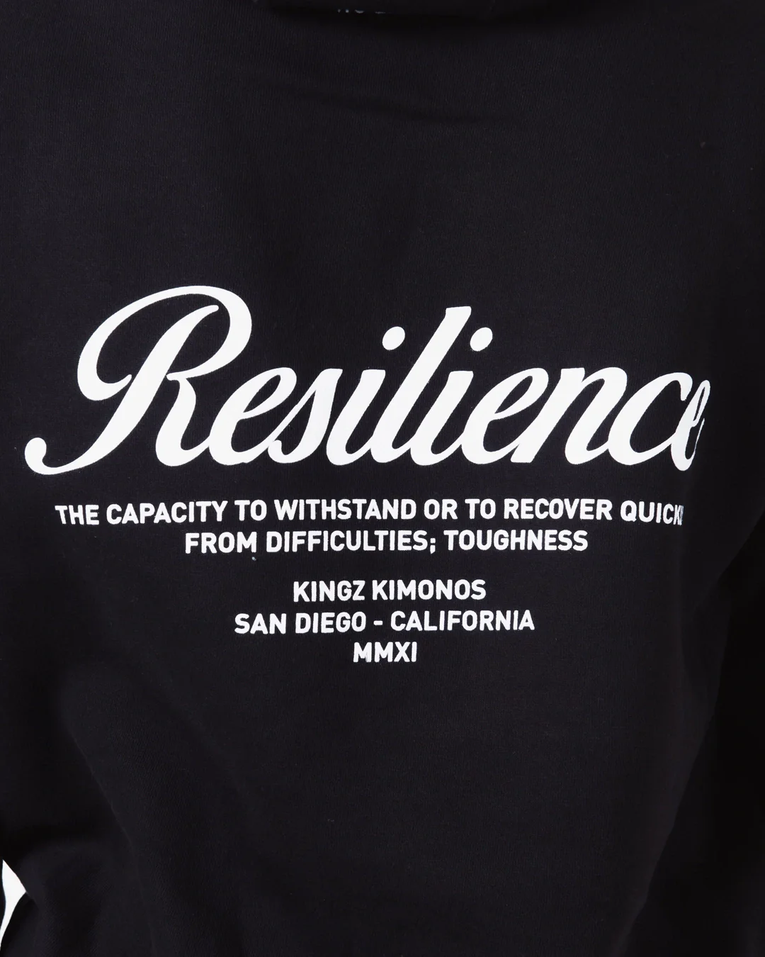 Resilience Hoodie - Image 14